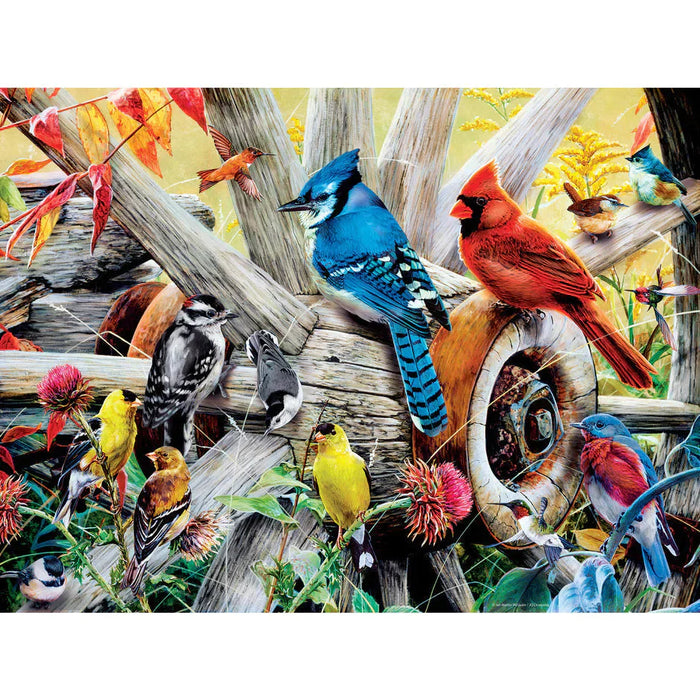 Audubon - Backyard Birds - 300 Piece EZGrip Puzzle - Just $14.99! Shop now at Retro Gaming of Denver