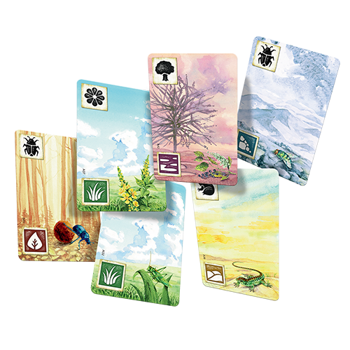 Meadow - for just $54.99! 