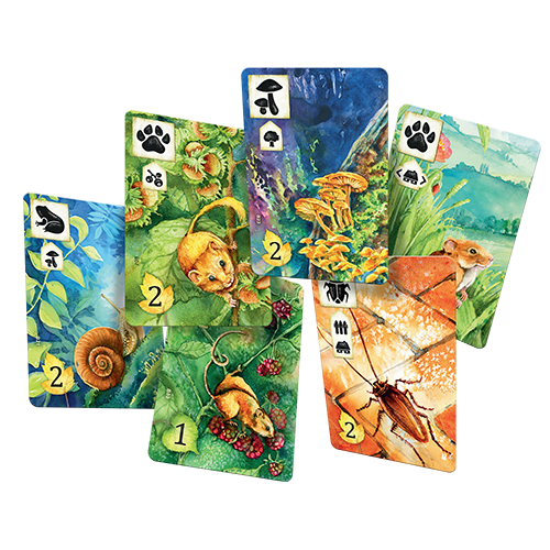Meadow - for just $54.99! 