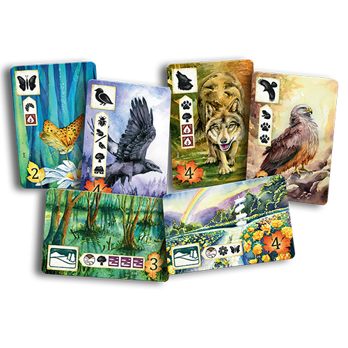 Meadow - for just $54.99! 