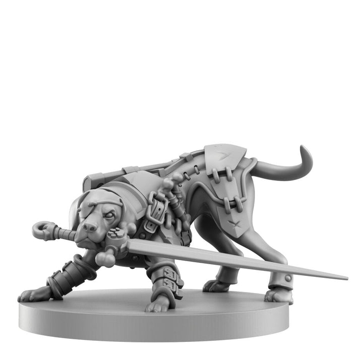 Animal Adventures RPG Starter Set - for just $39.95! 