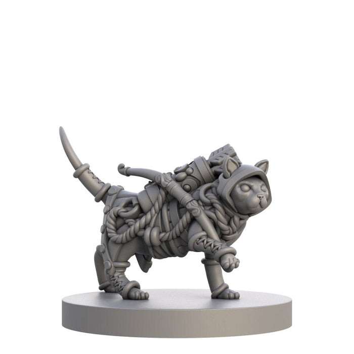 Animal Adventures: Cats and Catacombs - Volume 1 - for just $26.99! 