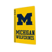 Michigan Wolverines PS5 VarsityWrapz - for just $39.99! 