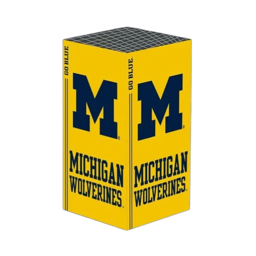 Michigan Wolverines Xbox X/S VarsityWrapz - for just $39.99! 