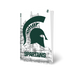 Michigan State PS5 VarsityWrapz - for just $39.99! 