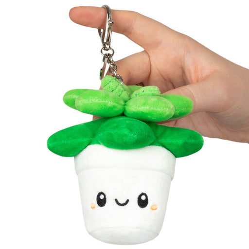 Squishable Succulent (Micro) - for just $12! 