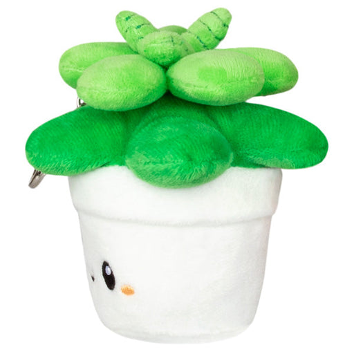 Squishable Succulent (Micro) - for just $12! 