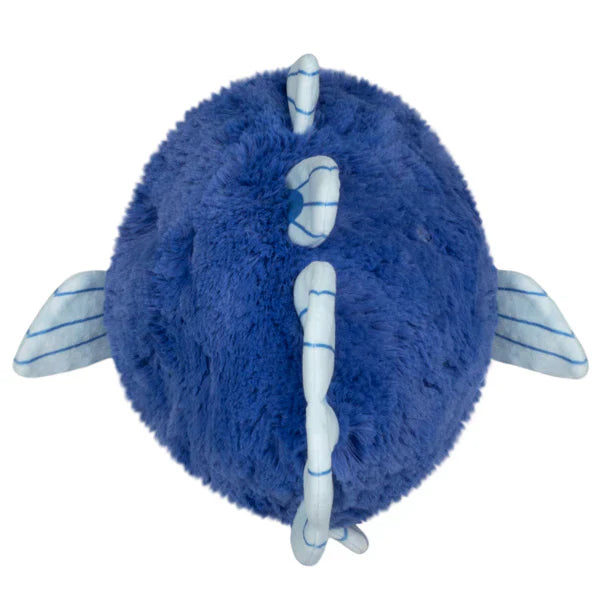 Squishable Coelacanth (Mini) - for just $35! 