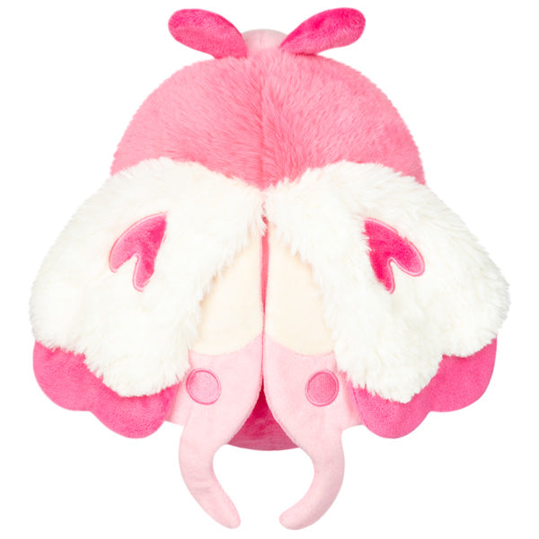 Squishable Lovebug (Mini) - for just $28! 