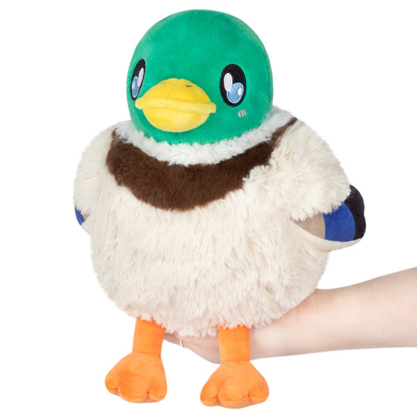 Squishable Mallard Duck (Mini) - for just $25! 