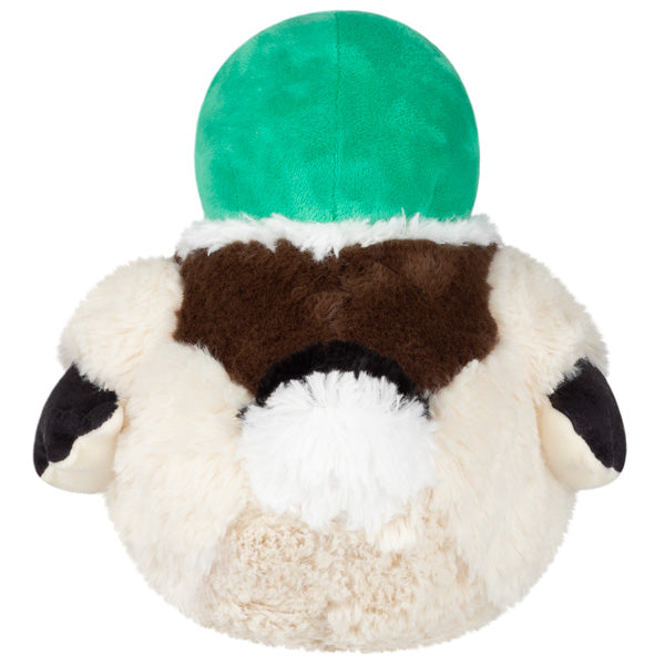 Squishable Mallard Duck (Mini) - for just $25! 