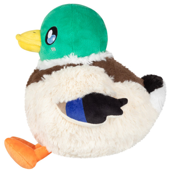 Squishable Mallard Duck (Mini) - for just $25! 
