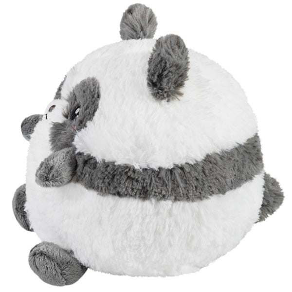 Squishable Baby Panda (Mini) - for just $20! 