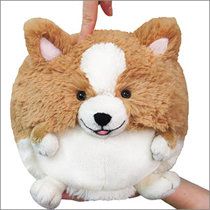 Squishable Corgi (Mini) - for just $21! 