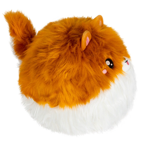Squishable Pomeranian (Mini) - for just $22! 