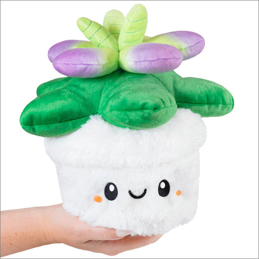 Squishable Succulent (Mini) - for just $22! 