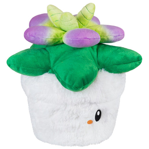 Squishable Succulent (Mini) - for just $22! 