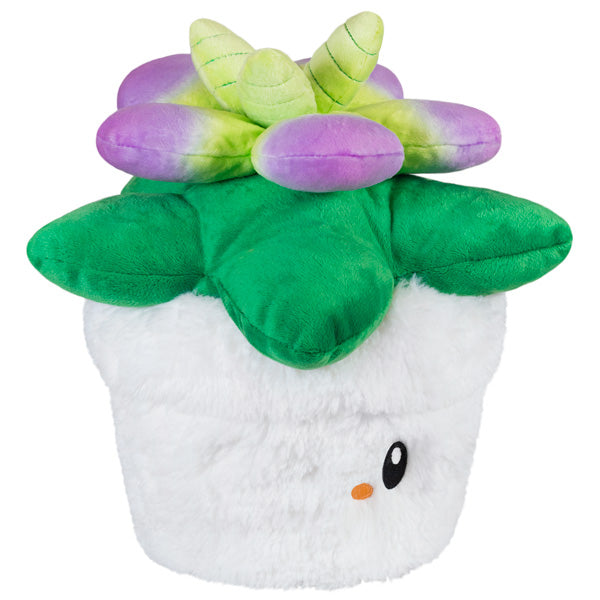 Squishable Succulent (Mini) - for just $22! 