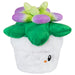 Squishable Succulent (Mini) - for just $22! 