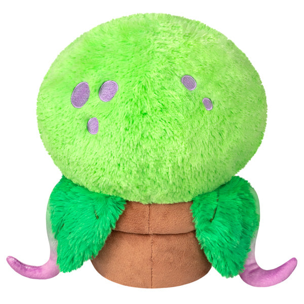 Squishable Venus Flytrap (Mini) - for just $34! 