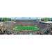 Jacksonville Jaguars - 1000 Piece Panoramic Jigsaw Puzzle - for just $19.99! 