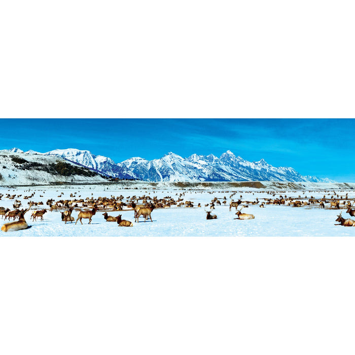 Elk Refuge, Wyoming 1000 Piece Panoramic Jigsaw Puzzle - Just $19.99! Shop now at Retro Gaming of Denver