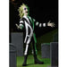 NECA Beetlejuice Toony Terrors 6-Inch Action Figure - for just $28.99! 