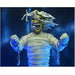 NECA Iron Maiden 'Mummy' Eddie Clothed 8-Inch Action Figure - for just $45.99! 