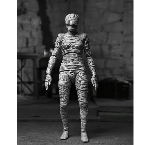 NECA Universal Monsters Figure - Select Figure(s) - Just $22.99! Shop now at Retro Gaming of Denver