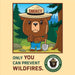 Smokey Bear - 100 Piece Square Jigsaw Puzzle - for just $7.99! 