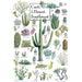 Cacti of the Desert Southwest 1000 Piece Jigsaw Puzzle - Just $16.99! Shop now at Retro Gaming of Denver