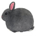 Squishable Netherland Dwarf Bunny (Mini) - for just $21! 
