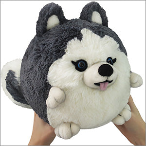 Squishable Husky (Mini) - for just $19.99! 