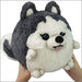 Squishable Husky (Mini) - for just $19.99! 
