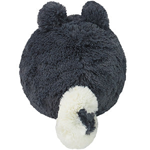 Squishable Husky (Mini) - for just $19.99! 