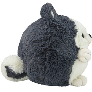 Squishable Husky (Mini) - for just $19.99! 
