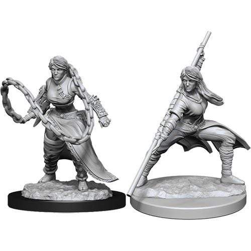 D&D Nolzur's Marvelous Miniatures: Human Monk Female - for just $5.99! 