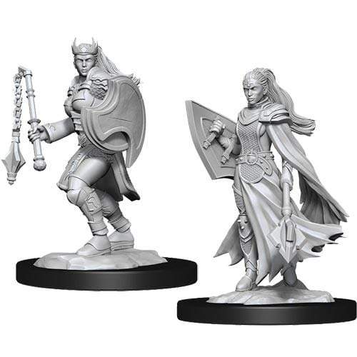 Nolzur's Marvelous Miniatures: Kalashtar Cleric Female - for just $5.99! 