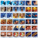 The Polar Express Matching Game - for just $9.99! 