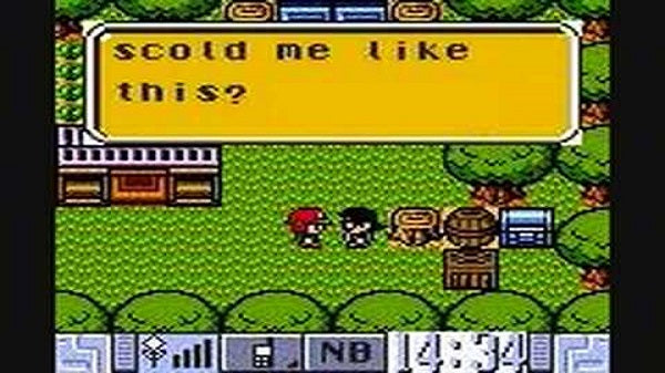 Pokemon Diamond GBC ROM Hack Video Game Custom Gameboy Color - for just $16.99! 