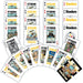 Pittsburgh Steelers Fan Deck Playing Cards - 54 Card Deck - for just $7.99! 