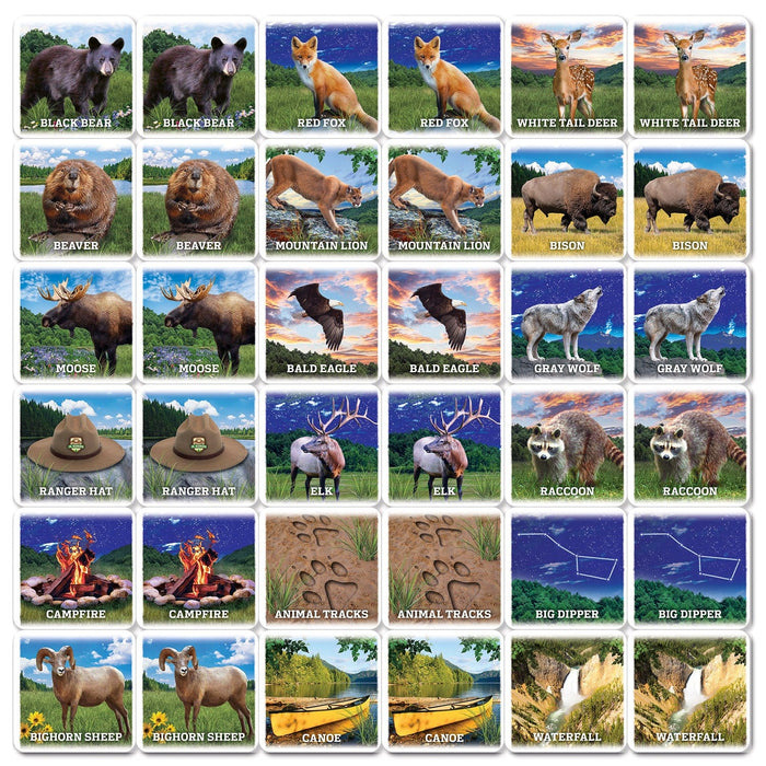 Jr. Ranger Matching Game - for just $9.99! 