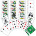 Dallas Stars Playing Cards - 54 Card Deck - Just $6.99! Shop now at Retro Gaming of Denver