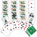 Dallas Stars Playing Cards - 54 Card Deck - for just $7.99! 
