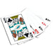 Miami Dolphins 300 Piece Poker Set - Just $124.99! Shop now at Retro Gaming of Denver