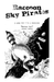 Raccoon Sky Pirates - for just $25! 