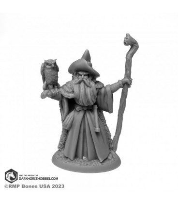 Reaper Legends: Amathor the Arch-Mage - for just $6.99! 