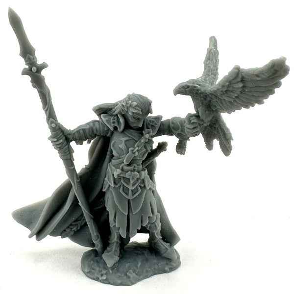 Dungeon Dweller: Wood Elf King (Clearance) - for just $5! 