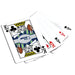 Seattle Seahawks 300 Piece Poker Set - for just $124.99! 