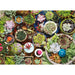Puzzle: Succulents - for just $19.99! 